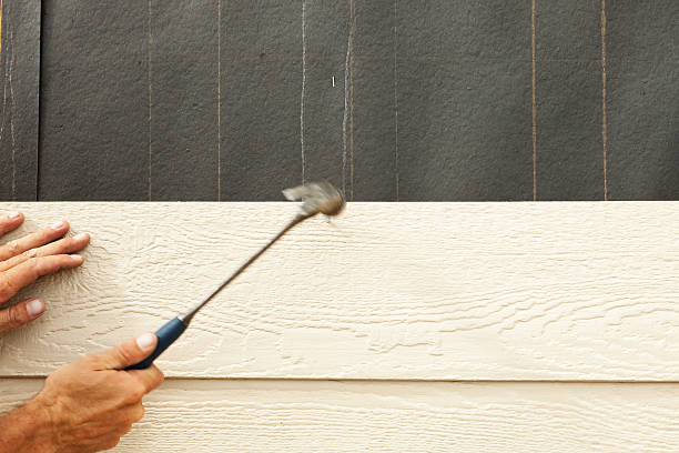 Best Aluminum Siding Installation  in Eggertsville, NY
